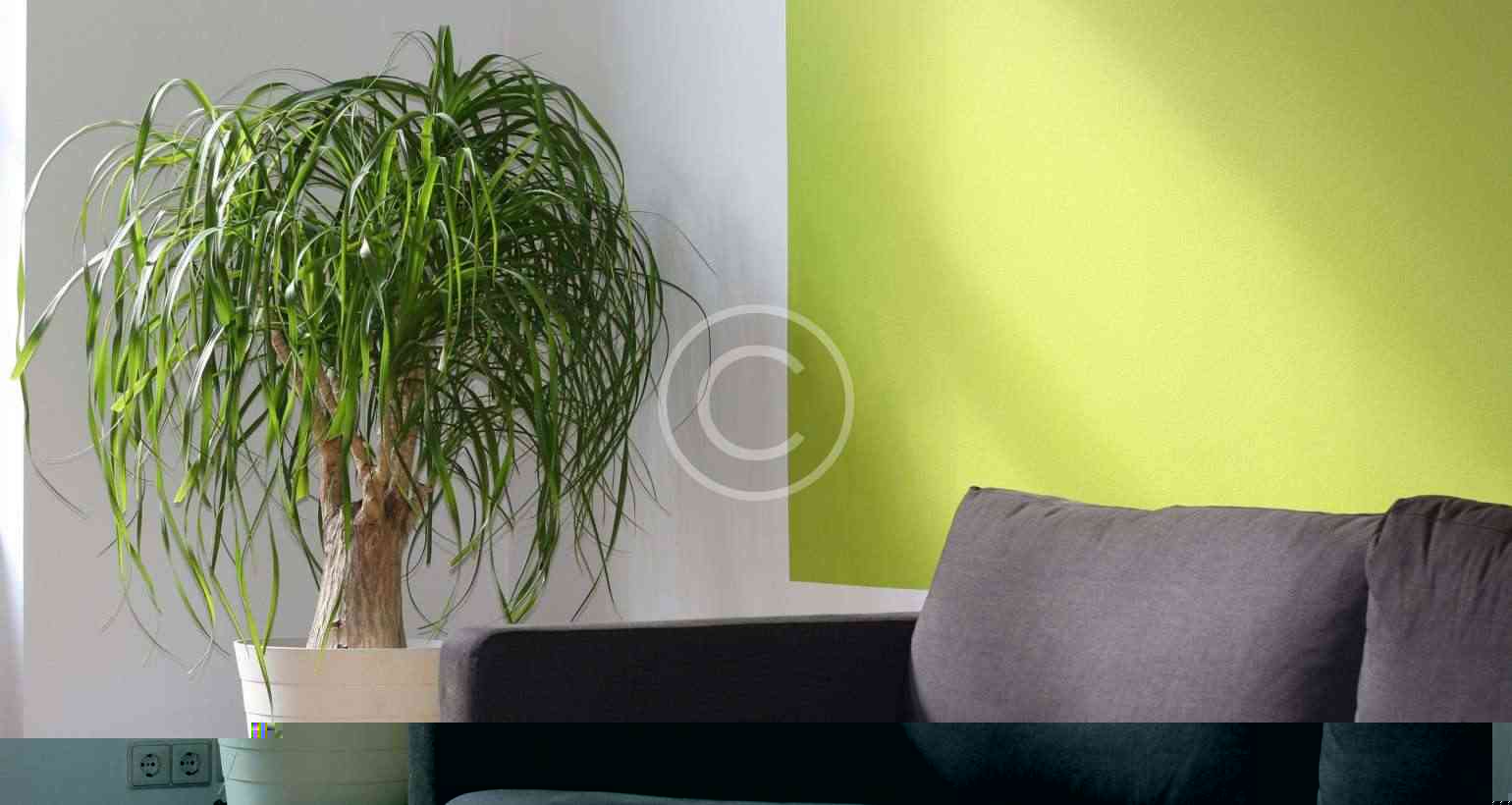 Ways To Decorate With Paint